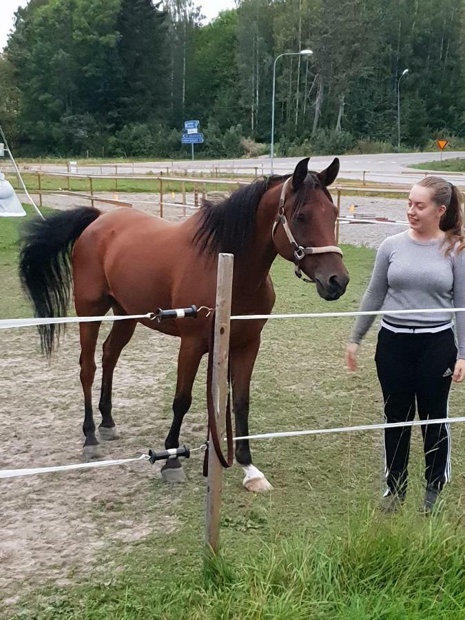 Myskje Gard Gastgiveri Soderala 外观 照片